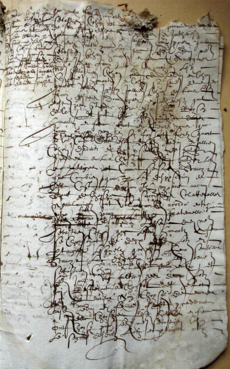 Cohon-G_1615 (15).JPG